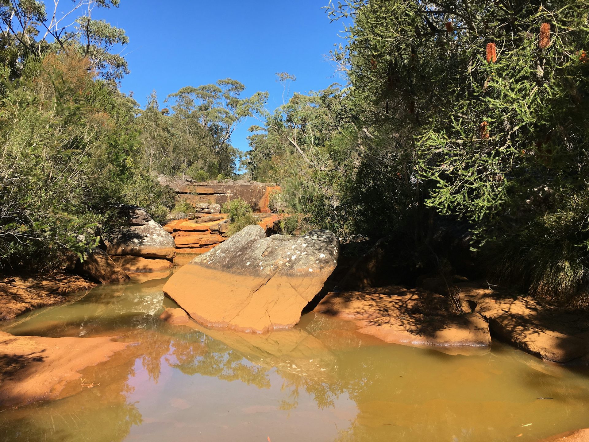 Cutting &lsquo;green tape&rsquo; may be good politicking, but it&rsquo;s bad policy. Here are 5 examples of regulation failure