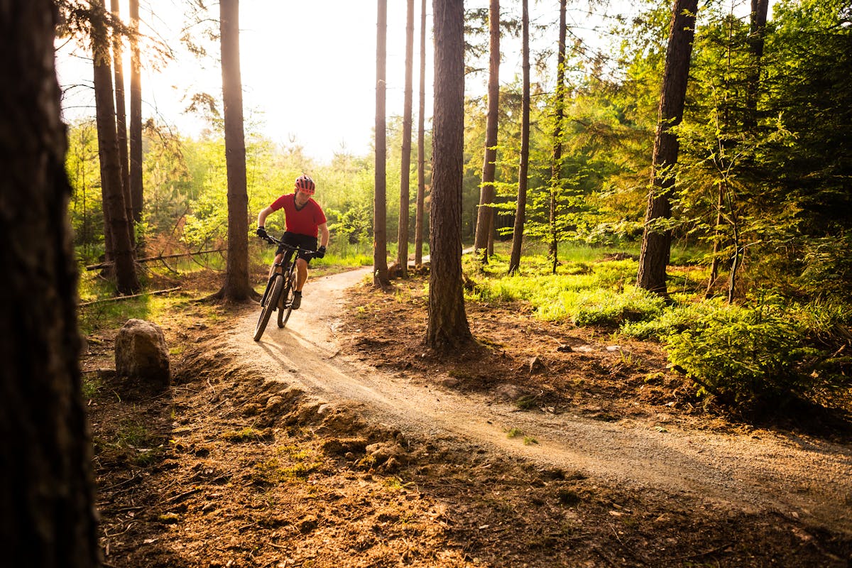 kæde Vejhus Stjerne Mountain bikers can strengthen the connection between humans, nature and  recreational space