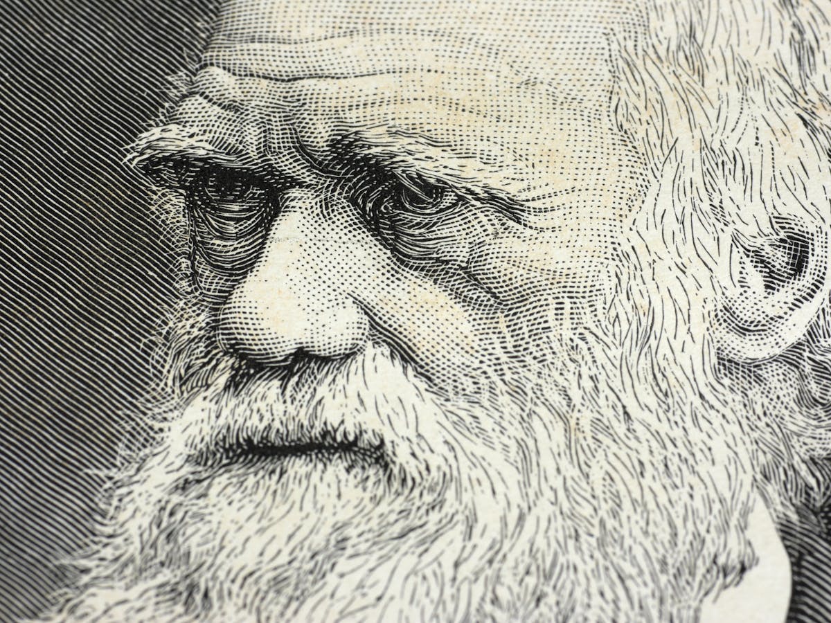 Coronavirus Australian Newspaper Prints Extra Pages To Help Out