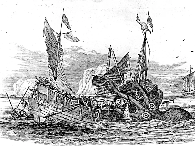 colossal squid atau kraken?