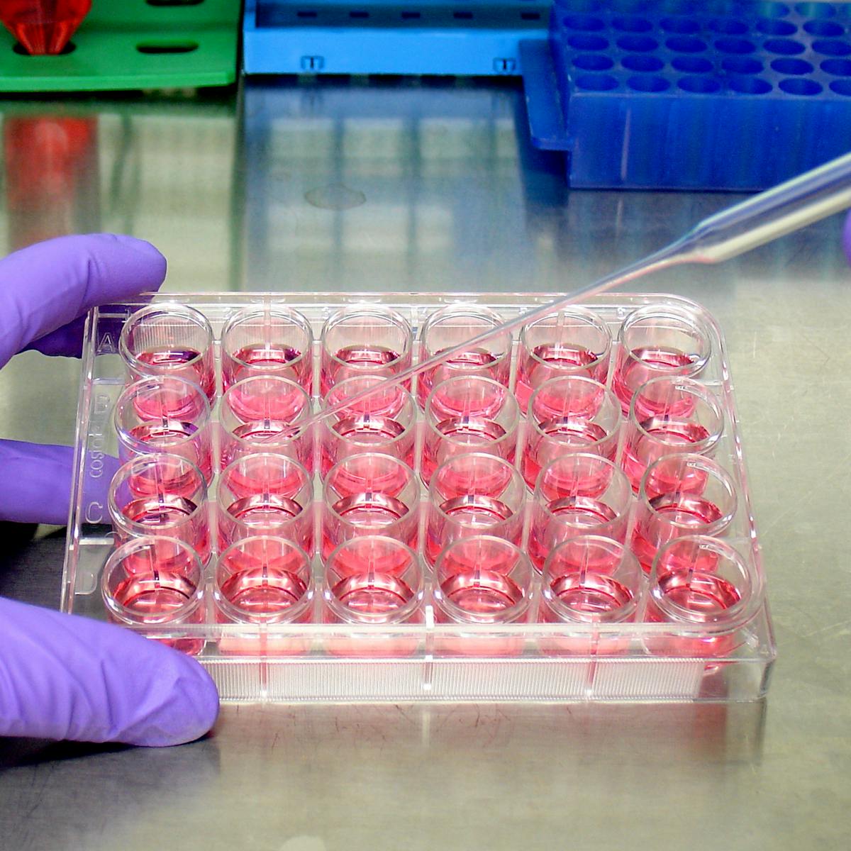 Treatments For Covid 19 Being Tested 5 file 20200430 42918 12wwdq3.jpg?ixlib=rb 1.1.0&q=45&auto=format&w=1200&h=1200