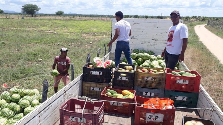 Activist farmers in Brazil feed the hungry and aid the sick as president downplays coronavirus crisis