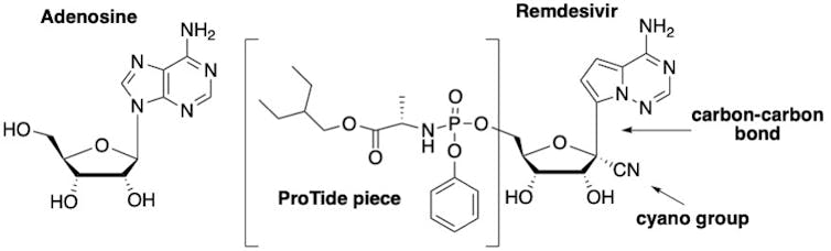 Nucleotide and Remdesivir