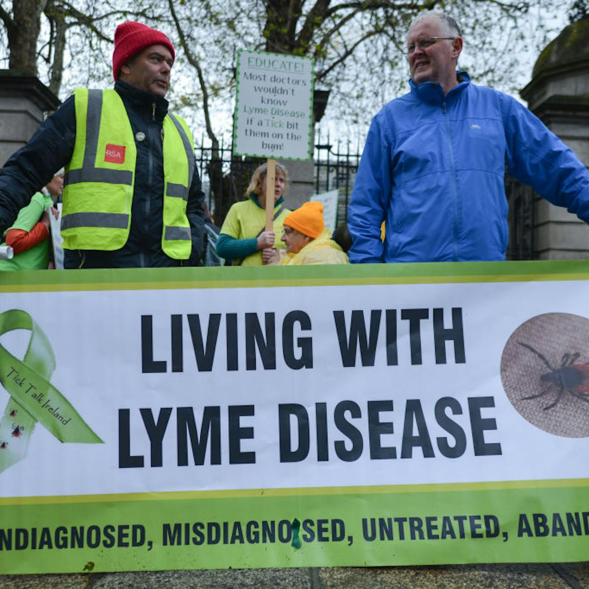 Doença de Lyme crônica Doença de Lyme crônica