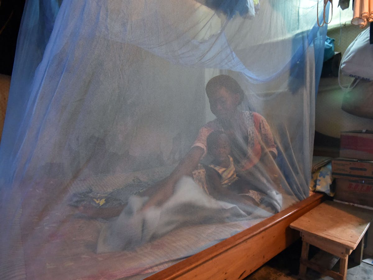 Malaria Still Kills 1 100 A Day It Can T Afford To Lose Resources To Coronavirus