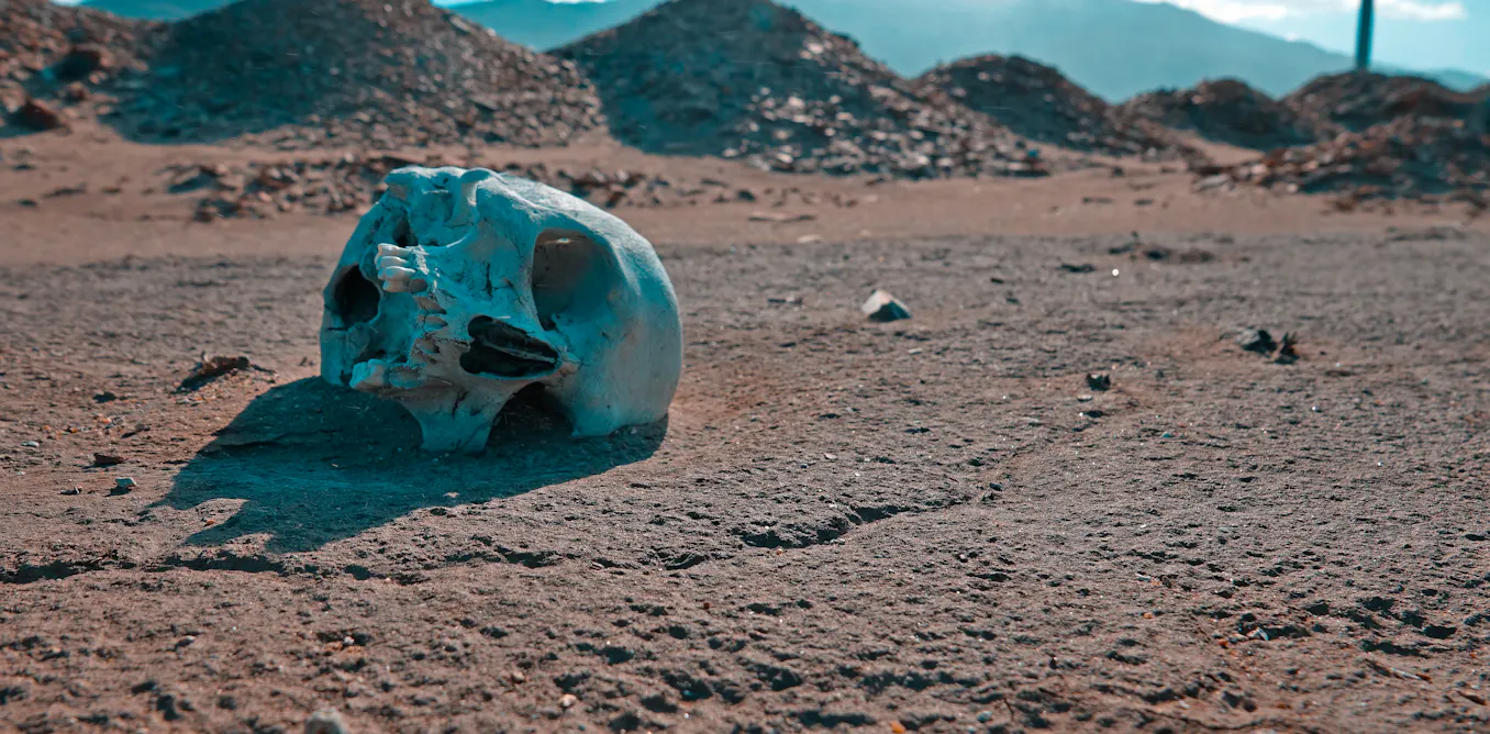 Humans Going Extinct Will humans go extinct? For all the existential threats, we'll likely ...