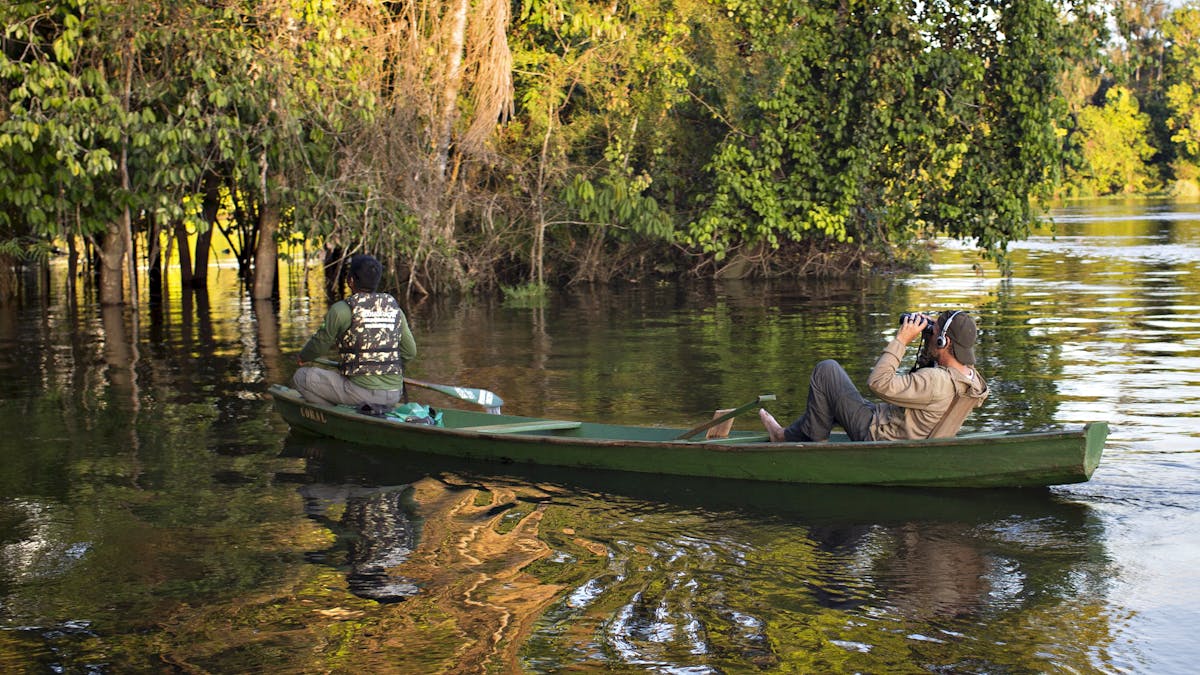 El Lenguaje Alejo Al Ser Humano De La Naturaleza
