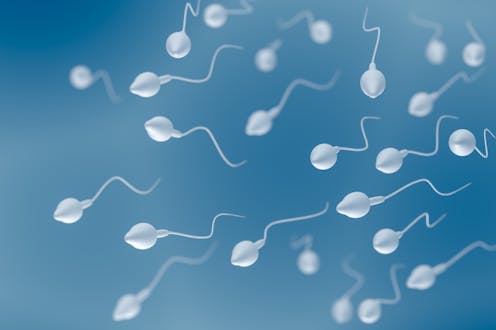 Coronavirus Found In Semen Of Young Men With Covid 19