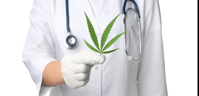 Medical cannabis – News, Research and Analysis – The Conversation – page 1