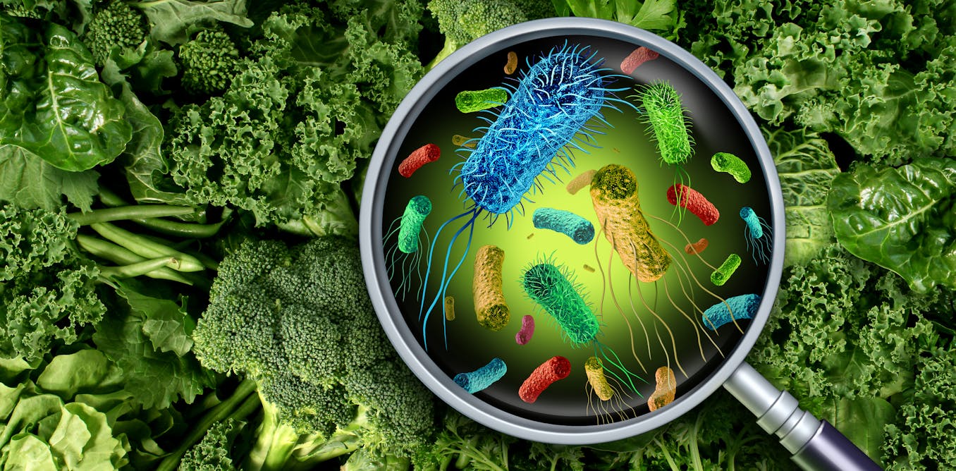 Microbiología