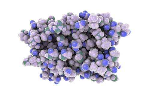 Ahora los inmunólogos están dándole vueltas al interferón. O mejor dicho, los interferones (IFN), porque hay varios. Estas sustancias son producidas por células del sistema inmunitario que se pueden considerar las moléculas más efectivas de la respuesta inespecífica frente a infecciones virales. Eso implica que se producen durante las primeras fases de la infección, antes de que el sistema inmune tenga claro a qué enemigo se enfrenta. De hecho, son los primeros factores solubles con los que nuestro organismo reacciona frente a los virus.