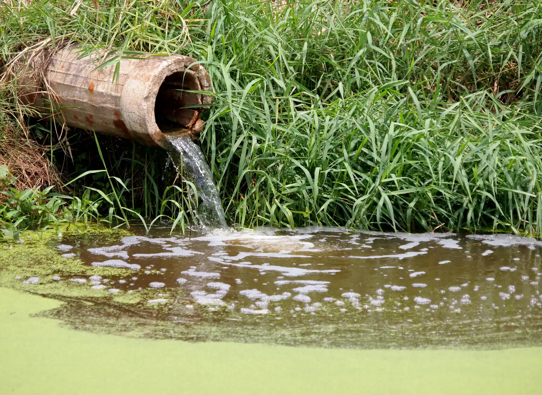 Agua Infectada Lo que conviene saber sobre SARS-CoV-2 en playas, piscinas, ríos, lagos ...