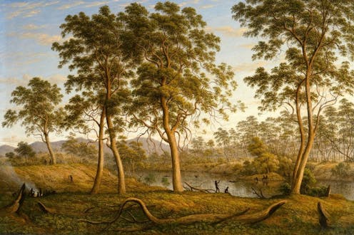 This rainforest was once a grassland savanna maintained by Aboriginal people – until colonisation