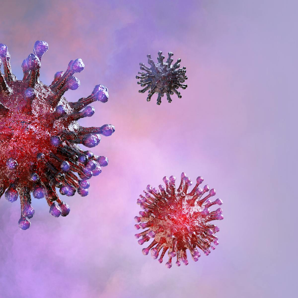 Coronavirus Research Reveals Way To Predict Infection Without A Test