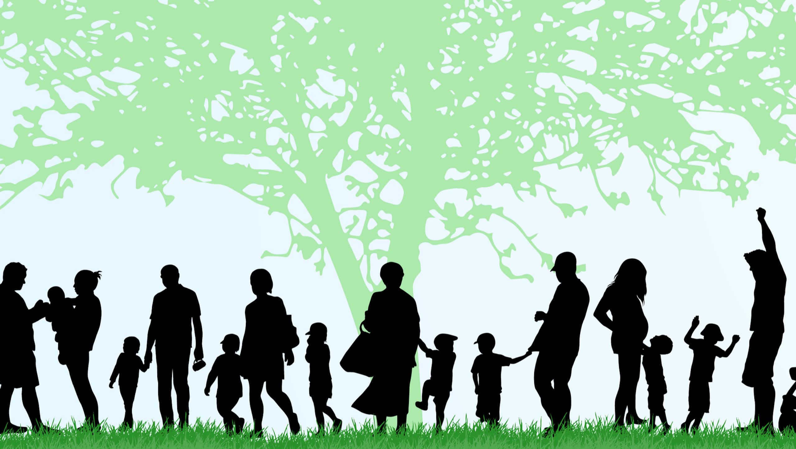 Dessiner un arbre généalogique avec son enfant : ce qu’en dit la psychologie