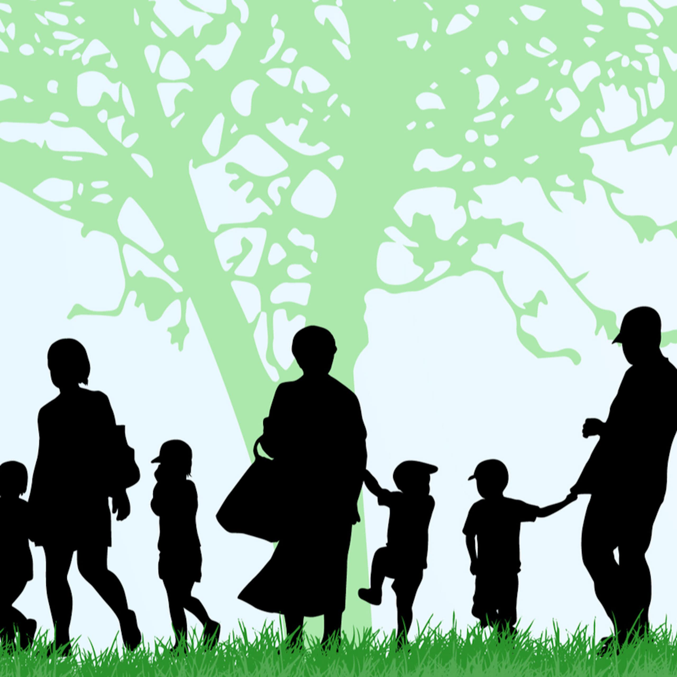 Dessiner un arbre généalogique avec son enfant : ce qu’en dit la psychologie