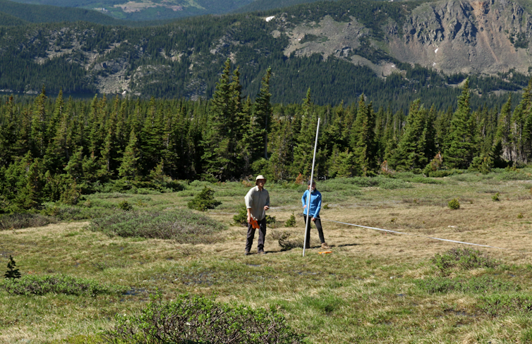 COVID-19 is eroding scientific field work – and our knowledge of how the world is changing