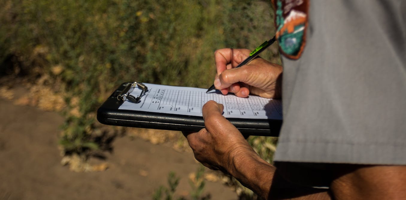 Izblogs Magazines All Of Mass Media