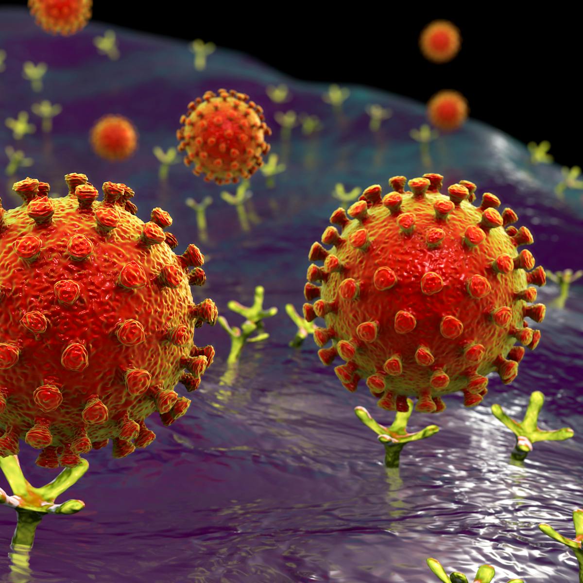 Ace2 The Molecule That Helps Coronavirus Invade Your Cells Ace2 The Molecule That Helps Coronavirus Invade Your Cells