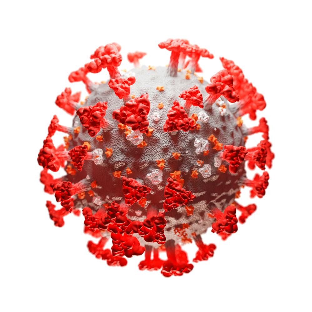 ACE2: the molecule that helps coronavirus invade your cells