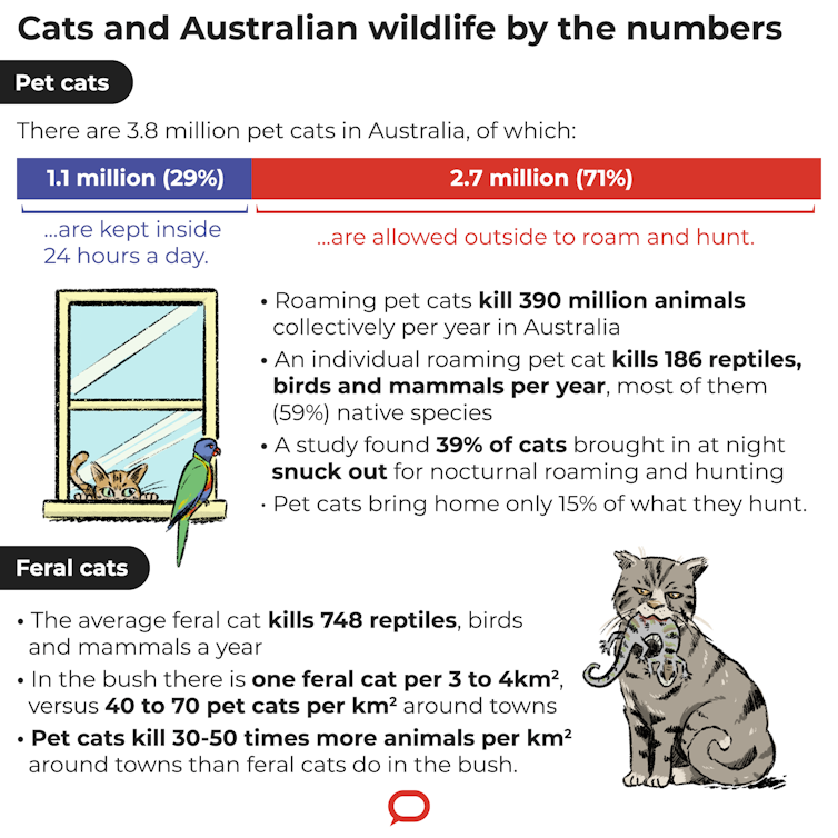 One cat, one year, 110 native animals: lock up your pet, it's a killing machine