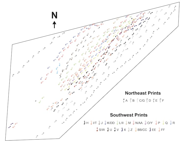 Prehistoric human footprints reveal a rare snapshot of ancient human group behavior