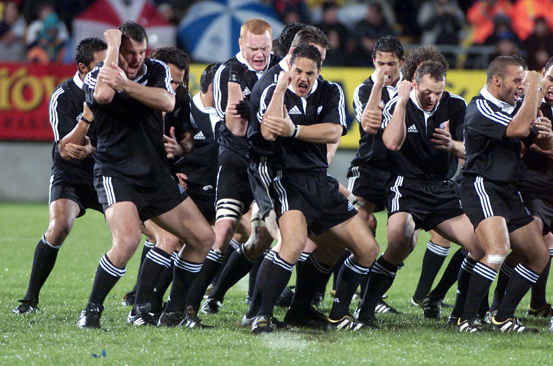 New sale zealand rugby