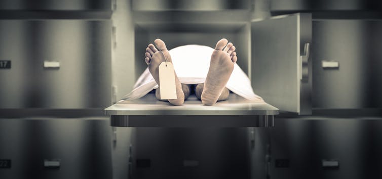 ¿De qué se muere la gente en el mundo? ¿De qué se muere la gente en el mundo?