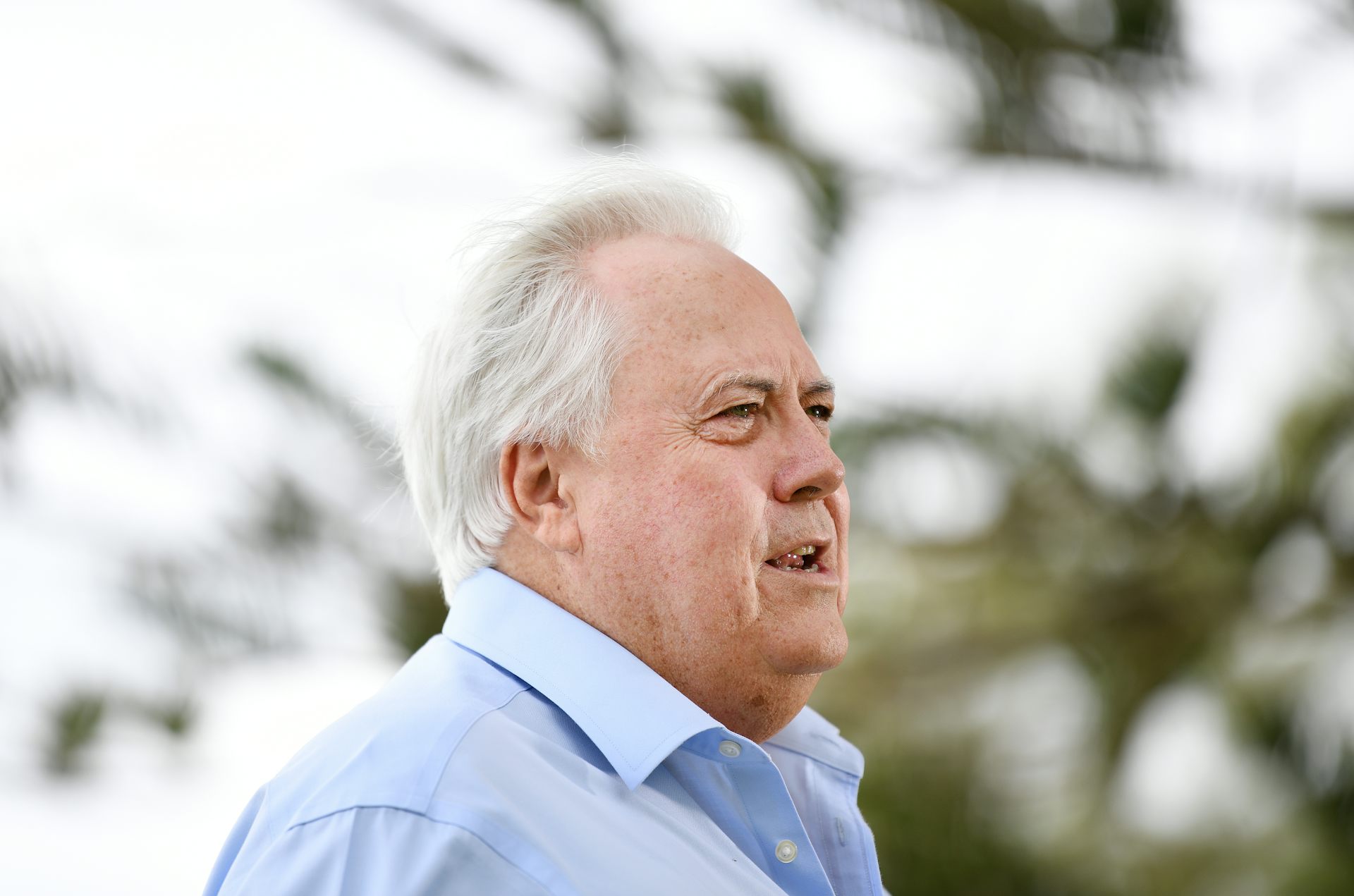 These young Queenslanders are taking on Clive Palmer's ...