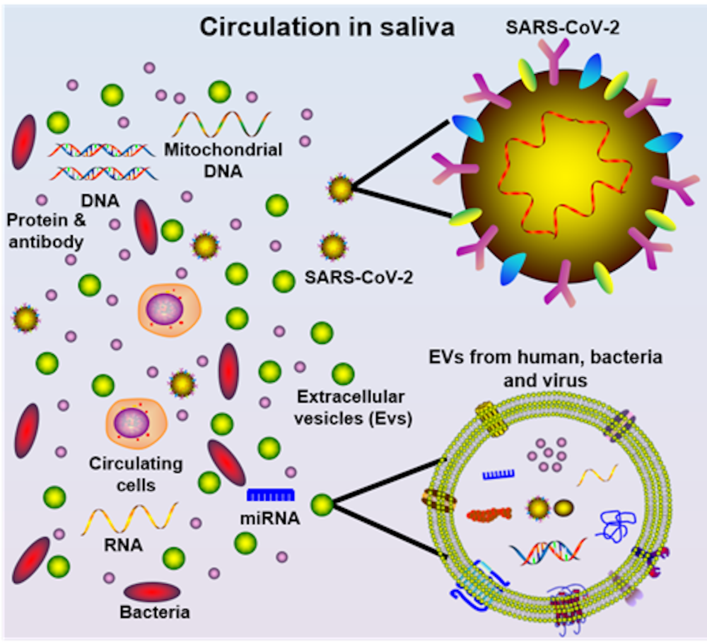 Keep your nose out of it why saliva tests could offer a better