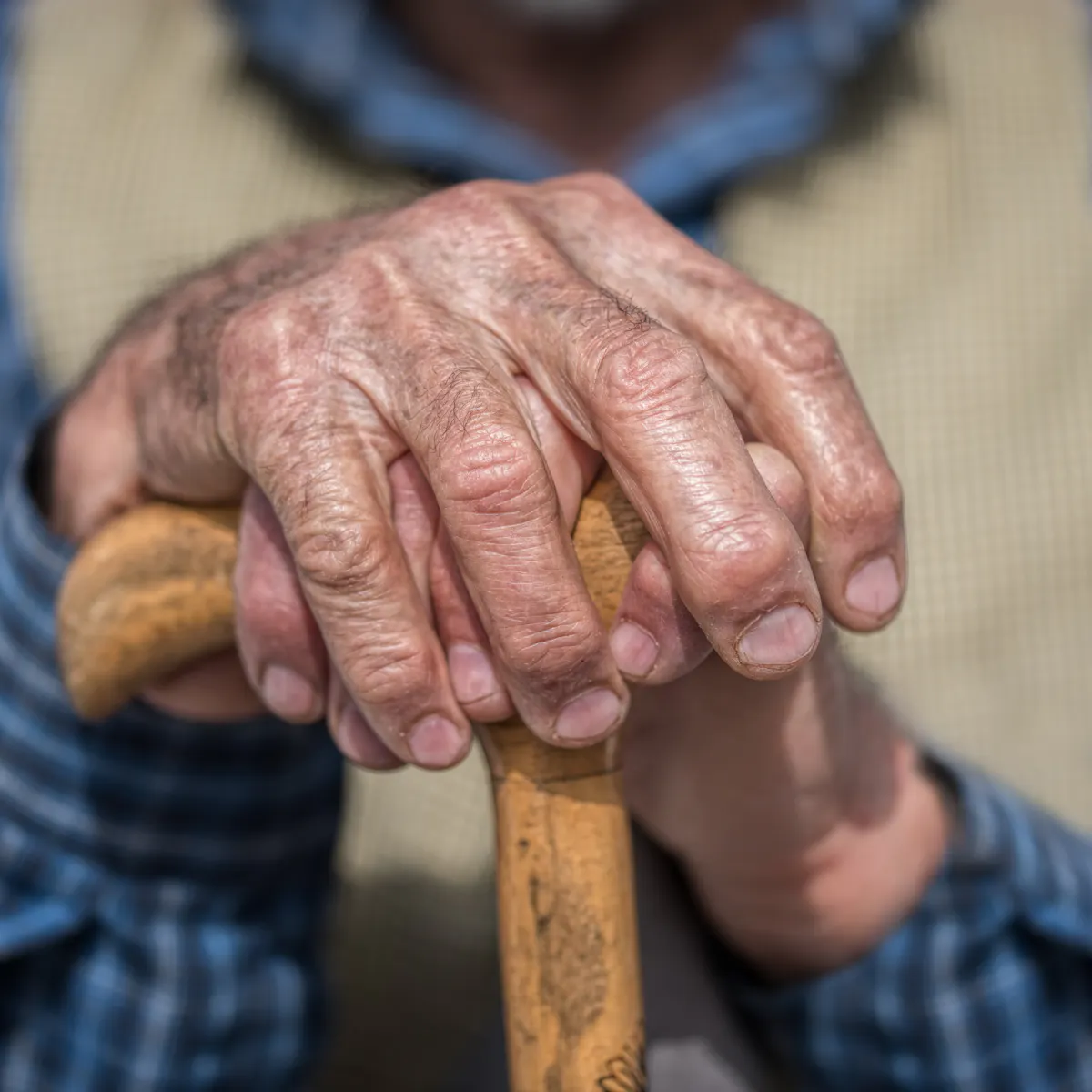 Anti Ageing Protein Shown To Slow Cell Growth Is Key In Longevity New Research