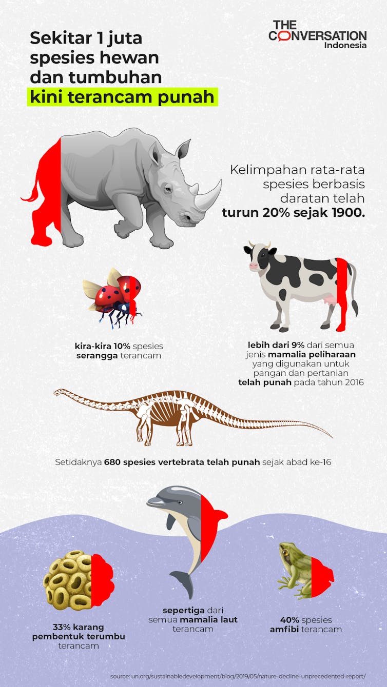 Riset Tunjukkan Museum Universitas Punya Peran Dalam Kenalkan