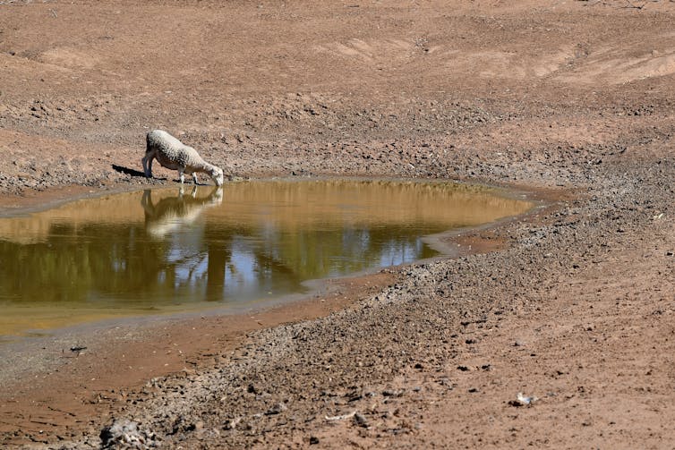 Australia, it's time to talk about our water emergency