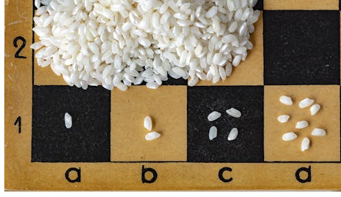 No es posible predecir la aparición de una enfermedad infecciosa. Es un proceso accidental en el que un acontecimiento muy poco probable surge como resultado de la conjunción al azar de sucesos independientes.