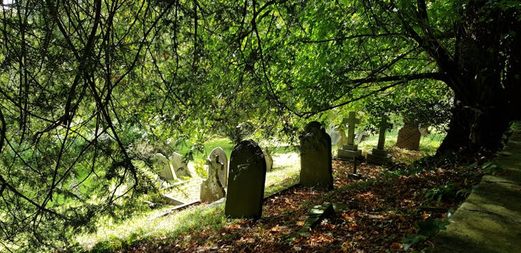 Coronavirus reminds you of death – and amplifies your core values, both bad and good