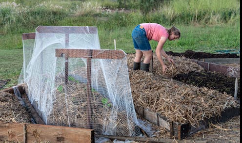 If you took to growing veggies in the coronavirus pandemic, then keep it up when lockdown ends