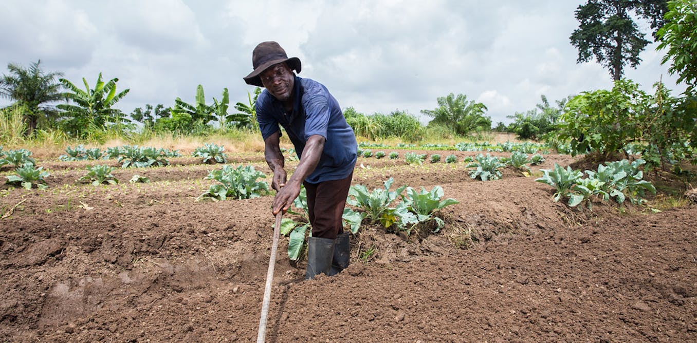 Urban spread is turning the lives of ghanaian farmers upside down