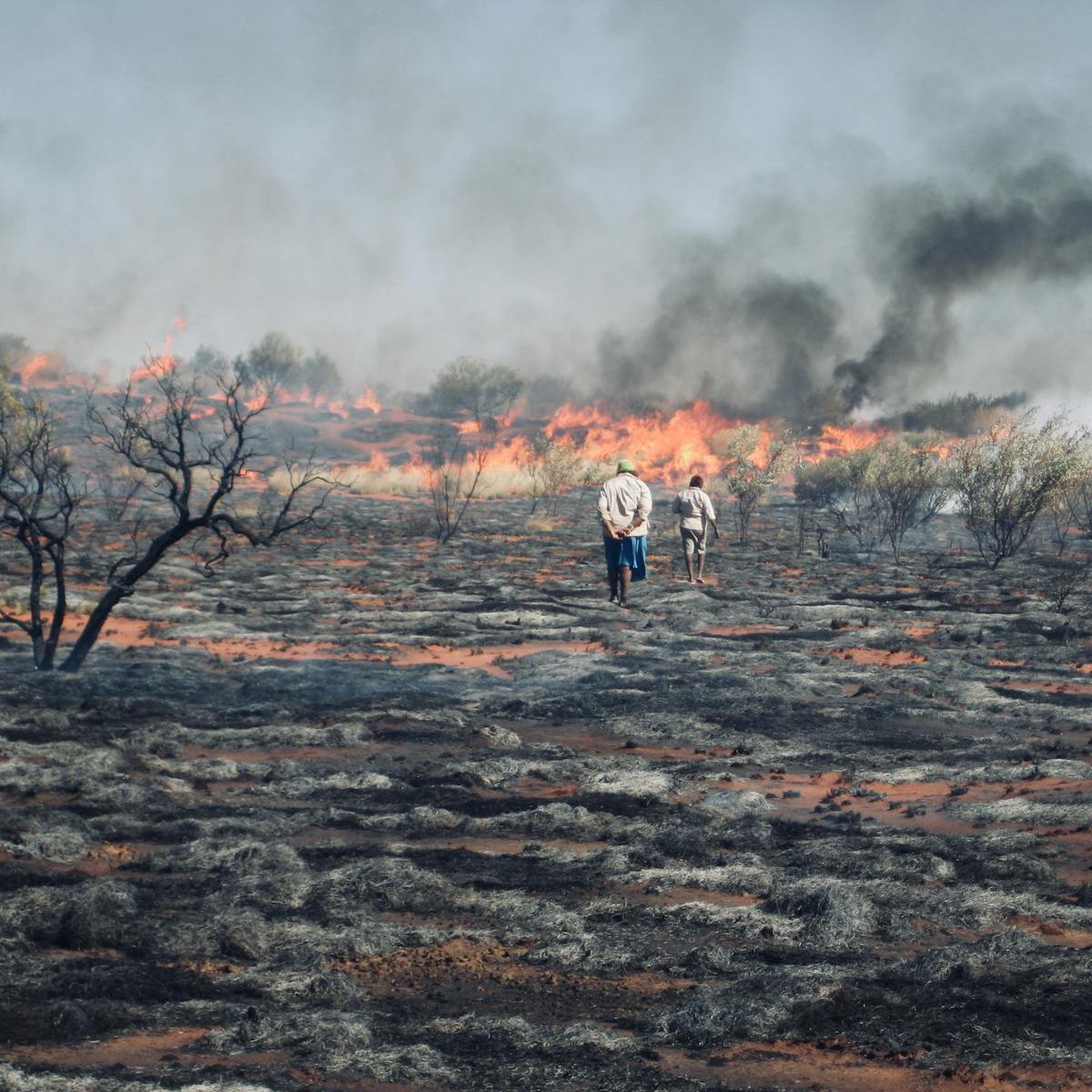 Australia You Have Unfinished Business It S Time To Let Our Fire People Care For This Land