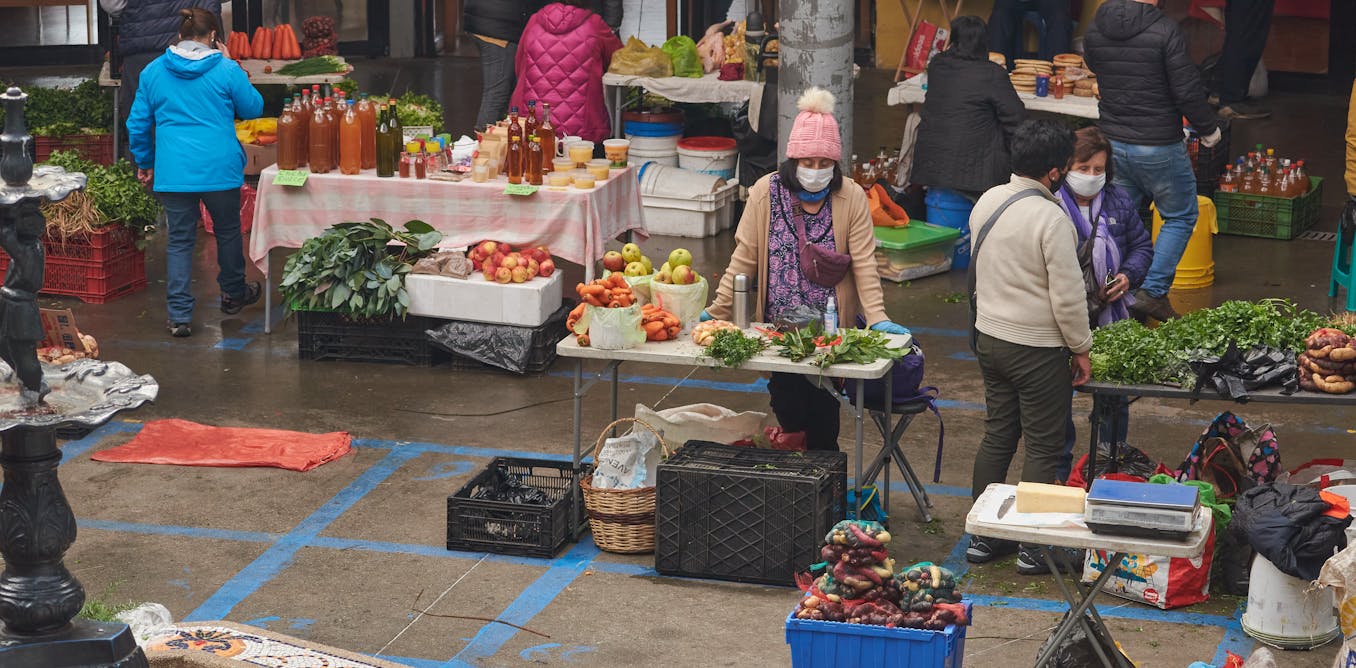 La Urgencia De Un Plan De Alimentacion Para La Pospandemia En America Latina