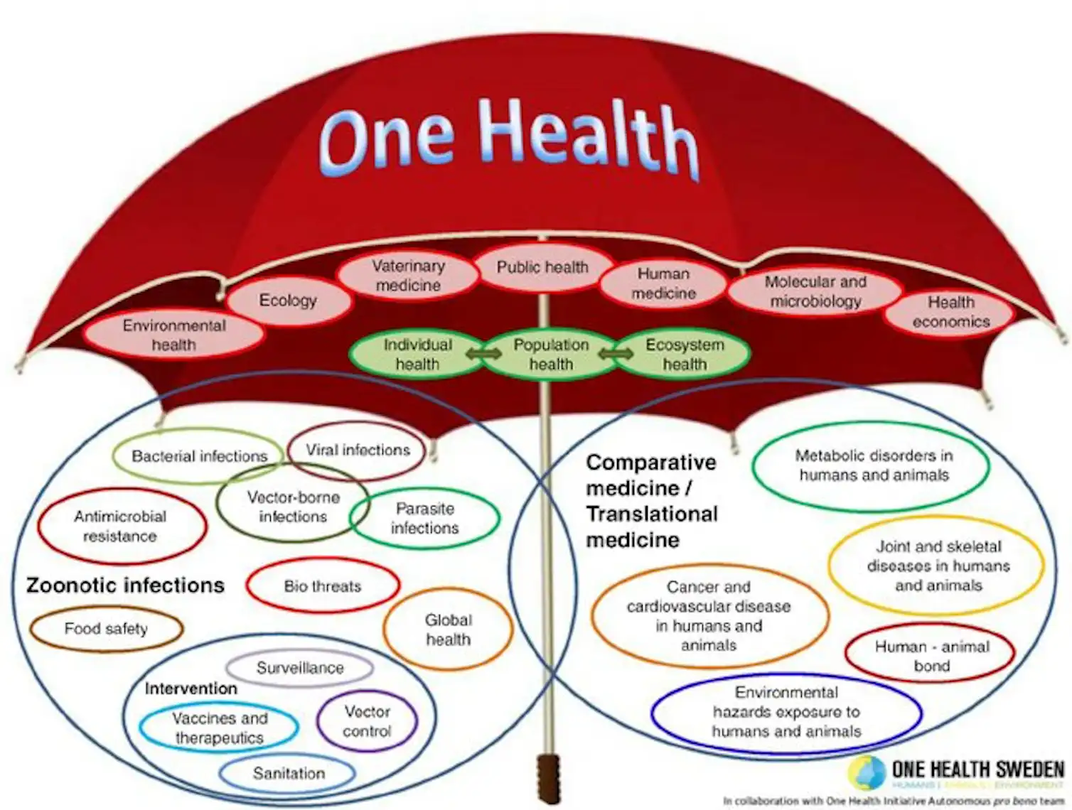 Konsep 'One Health' harus diutamakan untuk memungkinkan kita untuk ...