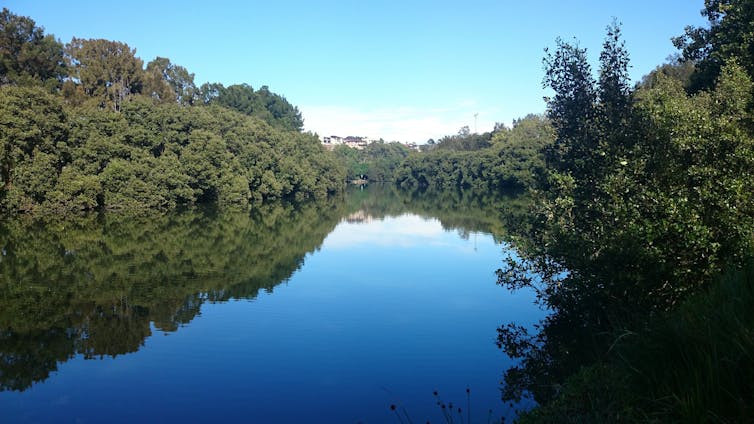 after a storm, microplastic pollution surged in the Cooks River