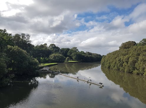 A fire extinguisher, a suit and 14 million plastic particles: after a storm, microplastic pollution surged in the Cooks River