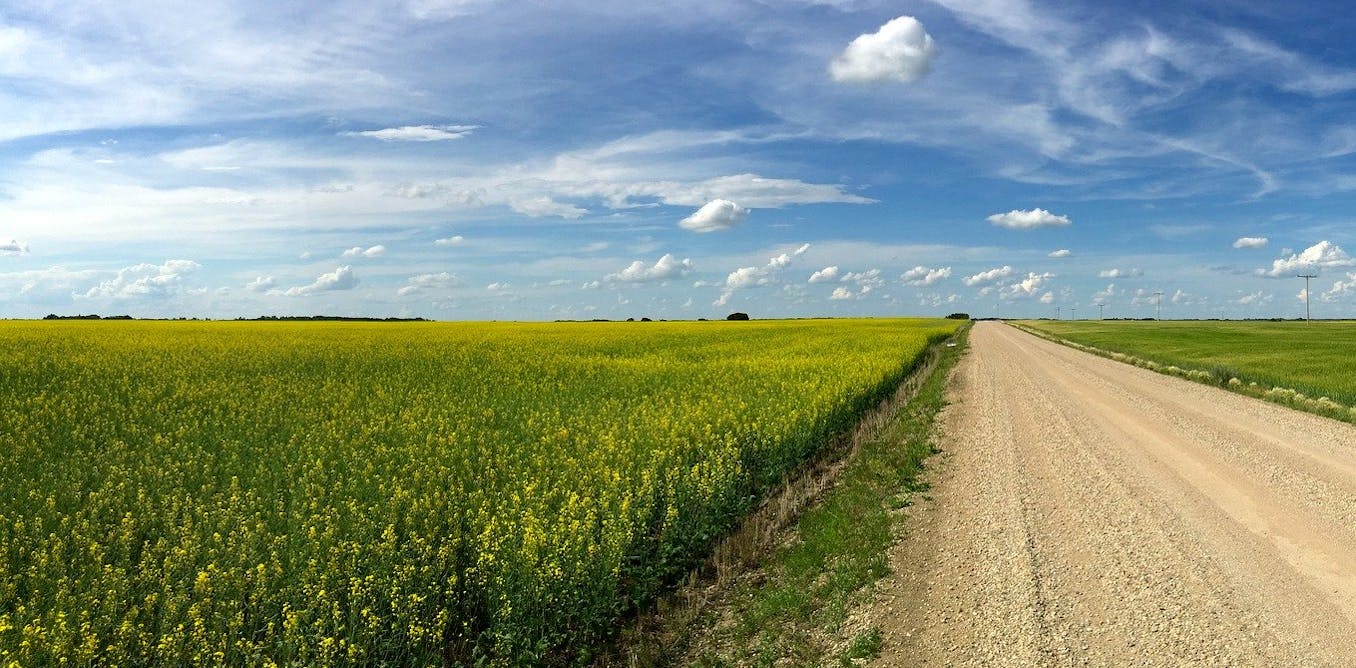 Canada S Farmland Is A Wise Investment During And After The Coronavirus Canada S Farmland Is A Wise Investment During And After The Coronavirus