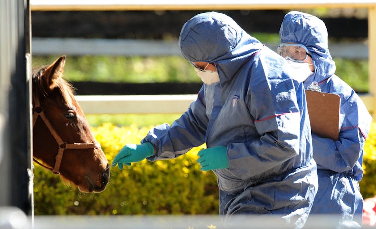 The next global health pandemic could easily erupt in your backyard