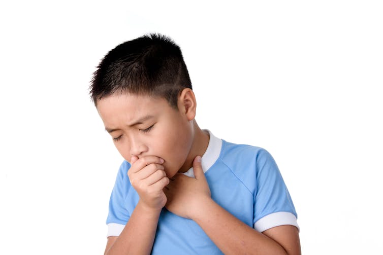 Curious Kids: why do we have boogers?