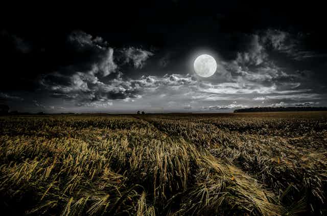 Nuit de pleine lune dans les champs