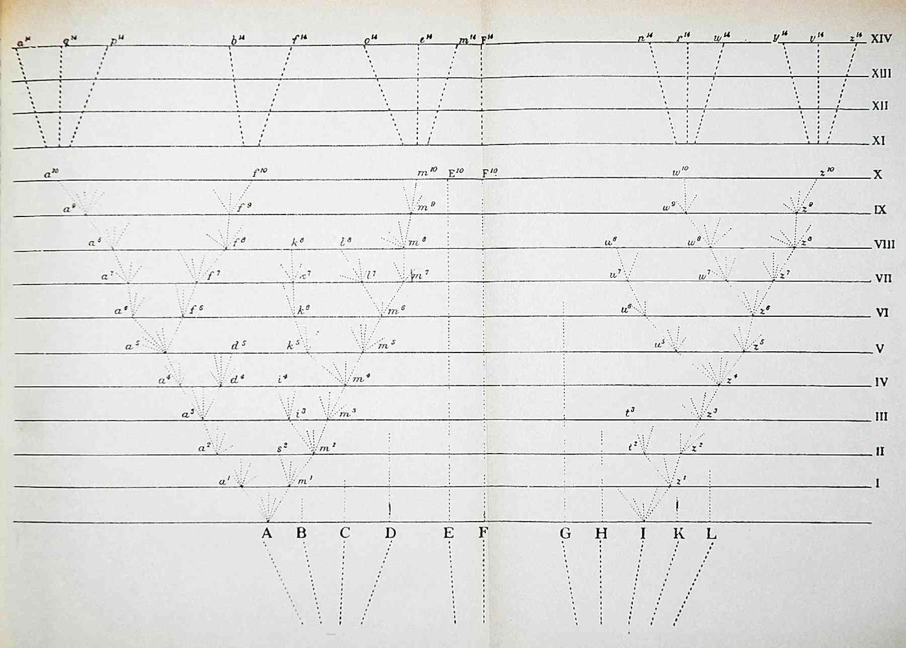 Evolution: why it seems to have a direction and what to expect next