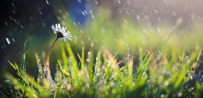 Cape Town Drought News Research And Analysis The Conversation Page 1