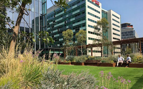 here's how green roofs and walls can flourish in Australia