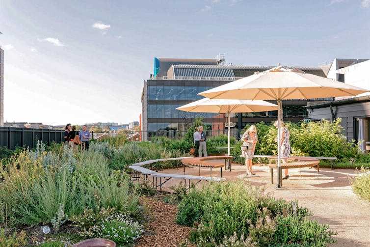 Greening our grey cities: here's how green roofs and walls can flourish in Australia